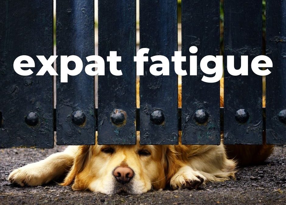 Goodybe Expat Fatigue! 3 Steps To Get Out Of The Rut Abroad